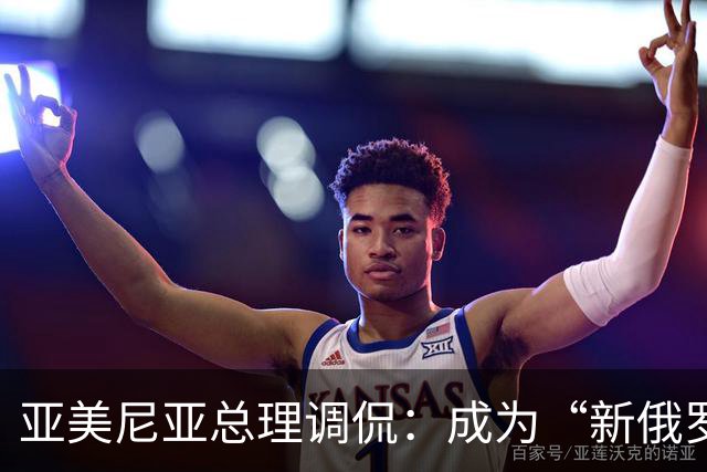 亚美尼亚总理调侃：成为“新俄罗斯”也不想！