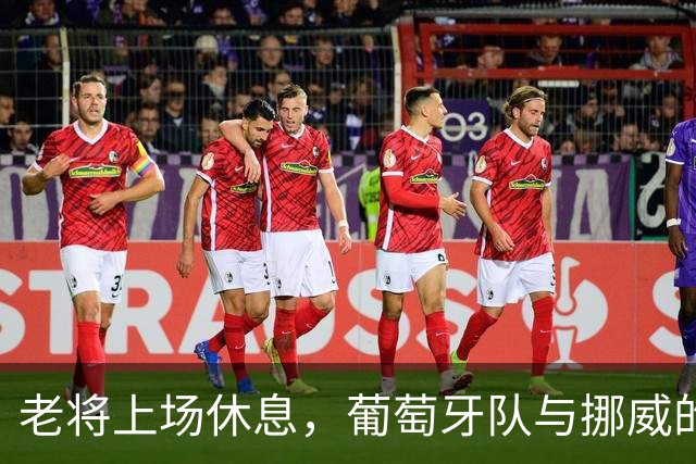 老将上场休息，葡萄牙队与挪威的神奇之夜